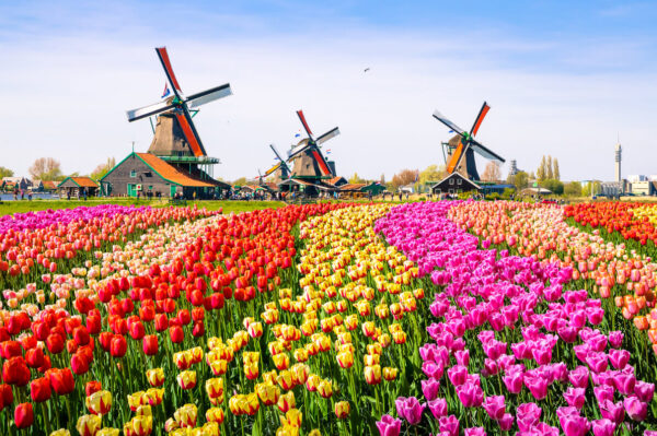 Best Prepaid Virtual eSIM for iPhones & other devices for Netherland Travel