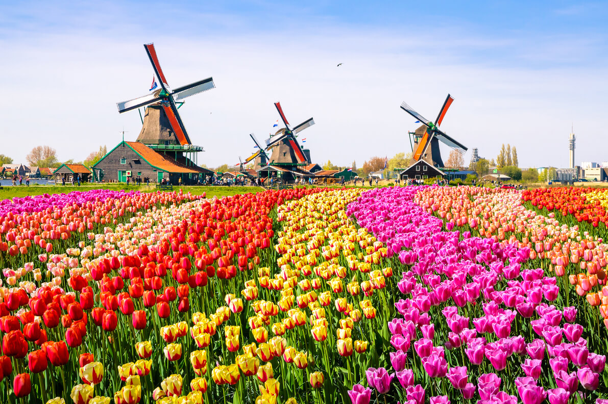 Best Prepaid Virtual eSIM for iPhones & other devices for Netherland Travel
