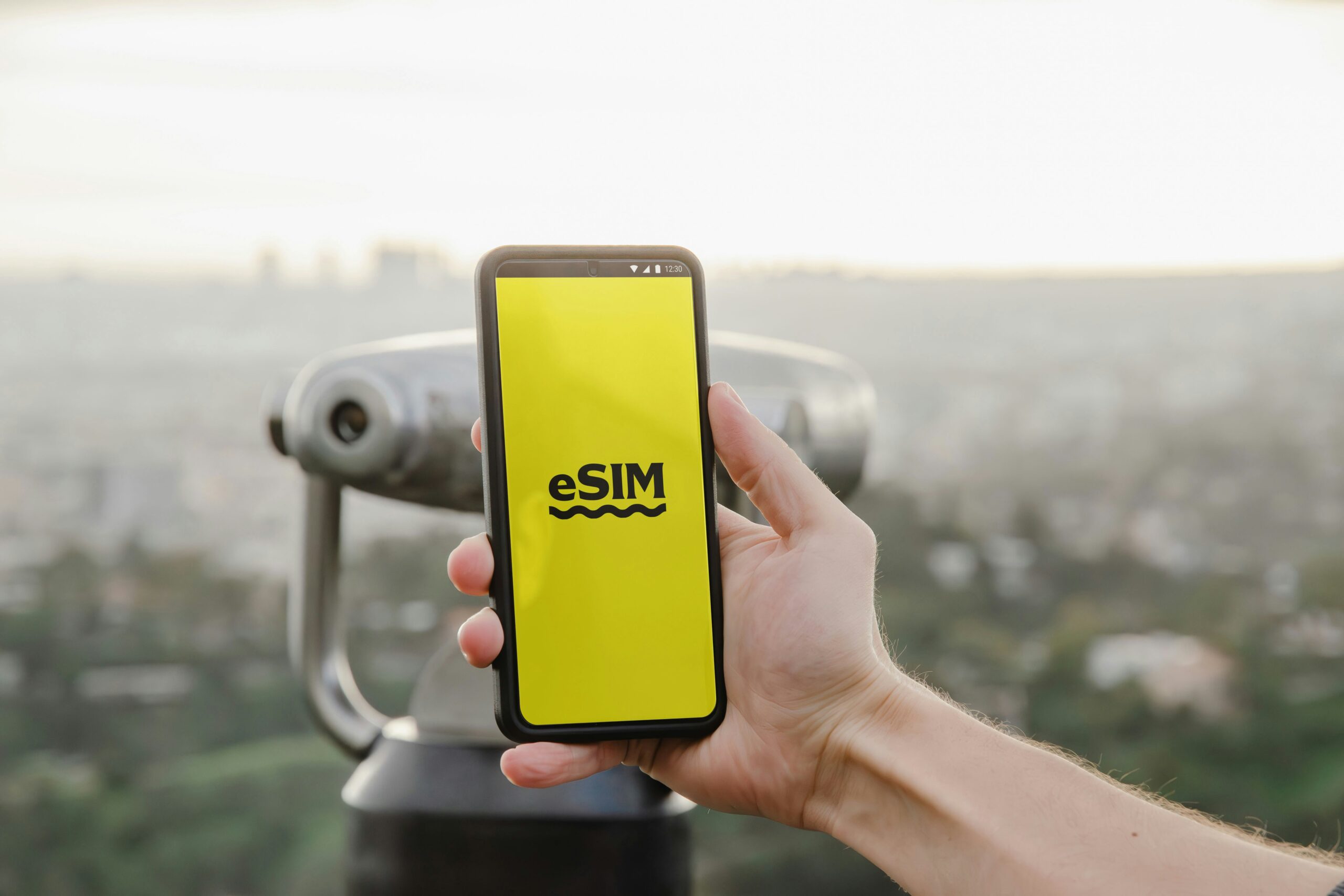 Guide to eSIM Compatibility Check